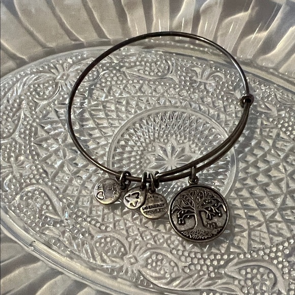 Alex and Ani Silver Charm Bracelet - Picture 1 of 2